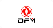 DFM